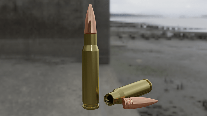 308 bullet container